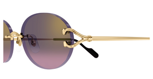 Cartier CT0551S 004 detail