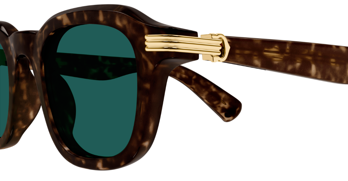 Cartier CT0536S | 002 runde Sonnenbrillen mit havana Rahen und grünen Gläsern
