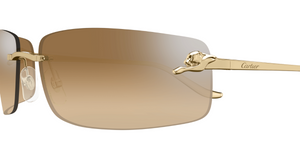 Cartier CT0503S | 004