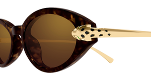 cartier ct0634s 002 ovale sonnenbrille in havana gold mit braunen gläsern