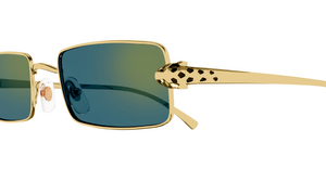 Cartier CT0473S | 003
