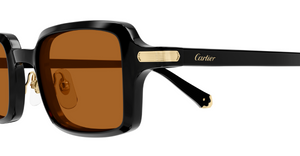 Cartier CT0539S | 003
