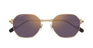 Cartier 0500S | 004