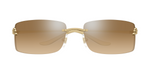 Cartier CT0503S | 004