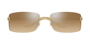Cartier CT0503S | 004
