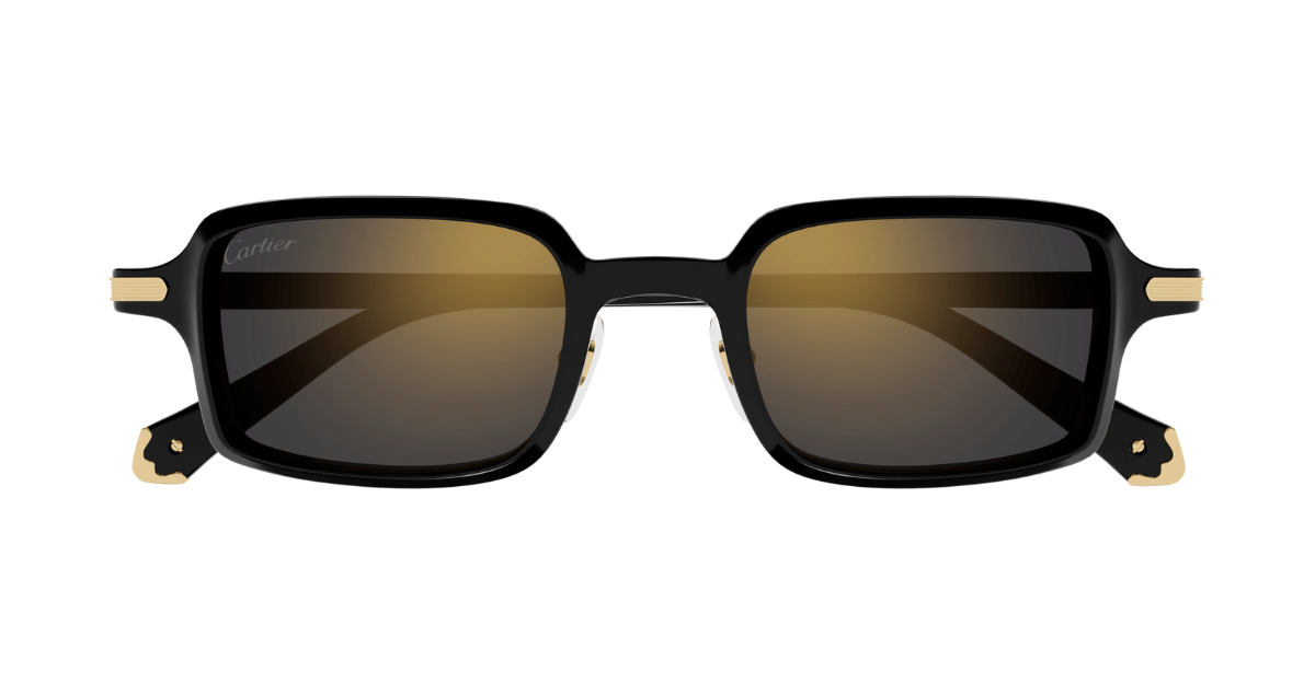 Cartier CT0539S 001 - Square luxury sunglasses with black frames