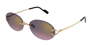 Cartier CT0551S 004 side