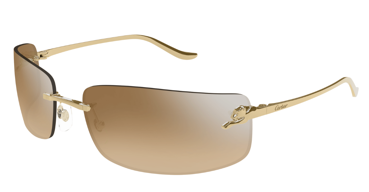 Cartier CT0503S | 004
