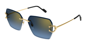 Cartier CT0466S | 002