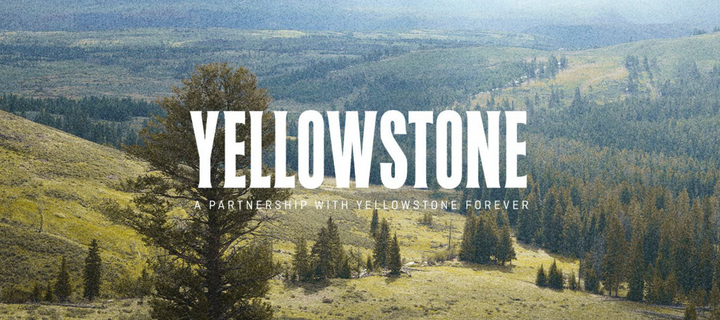 Jacques Marie Mage Yellowstone Forever IV