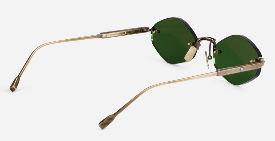 Terebellum V | S1209 – Leidmann