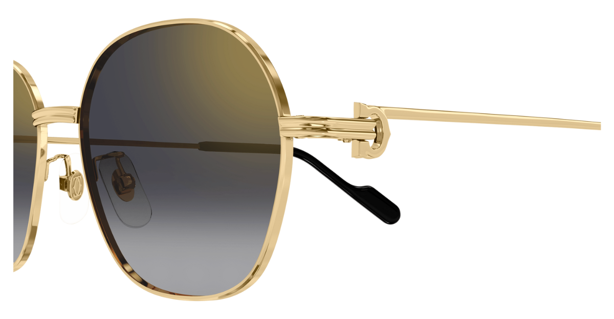 Cartier CT0569SA 001 detail