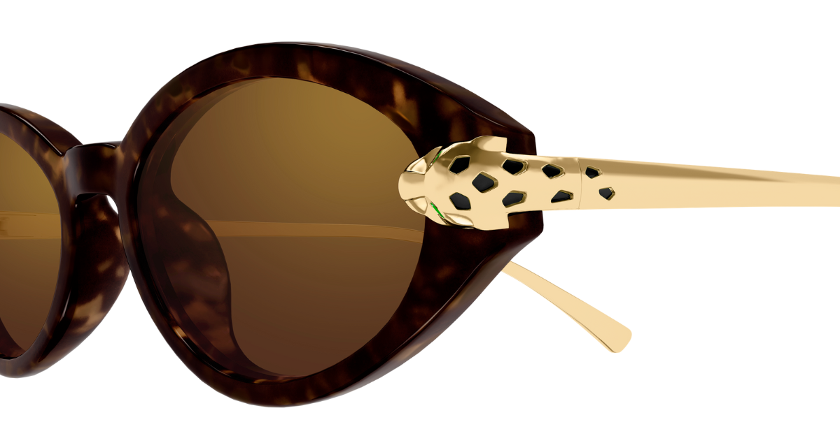 cartier ct0634s 002 ovale sonnenbrille in havana gold mit braunen gläsern