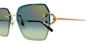 Cartier CT0466S | 003