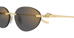 Cartier CT0504S | 001