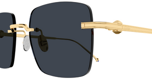 Cartier 0403S | 002
