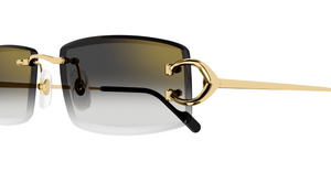 Cartier CT0465S | 001