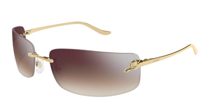 Cartier CT0503S | 003