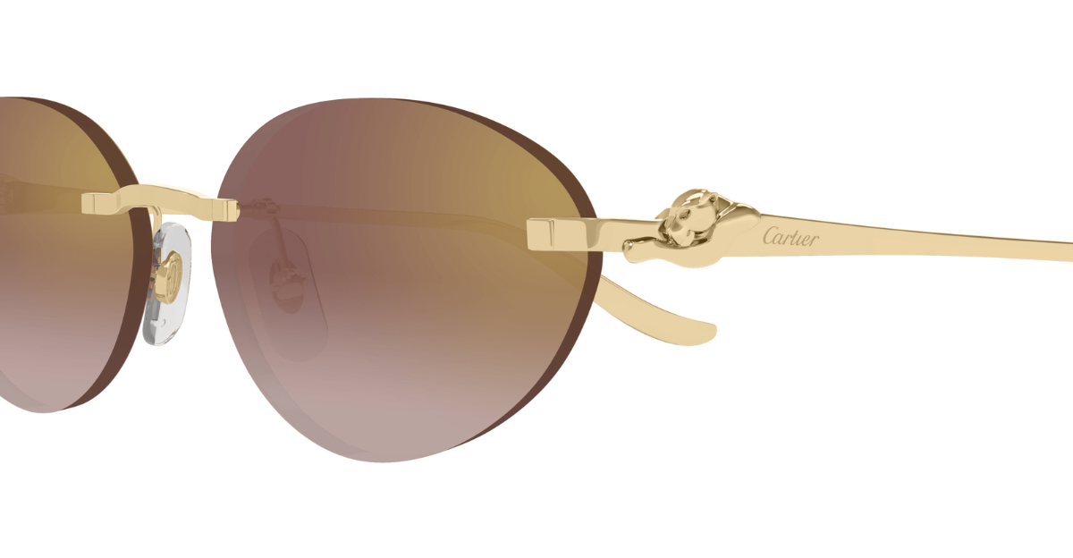 Cartier CT0504S | 002