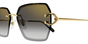 Cartier CT0466S | 001
