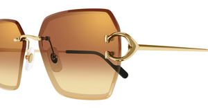 Cartier CT0466S | 004
