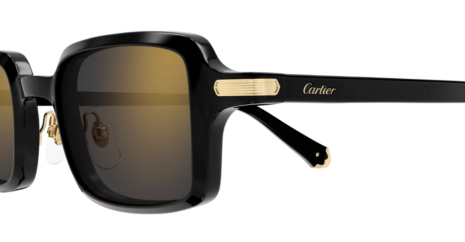 Cartier CT0539S 001 - Square luxury sunglasses with black  display picture 2