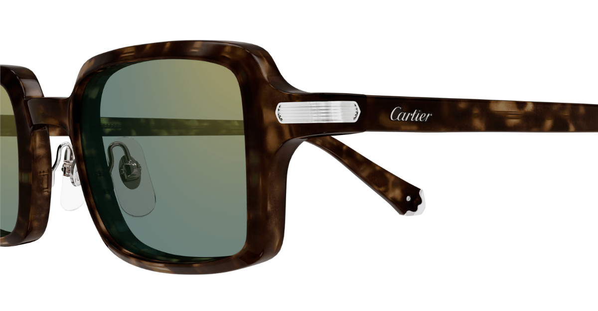 Cartier CT0539S | 002