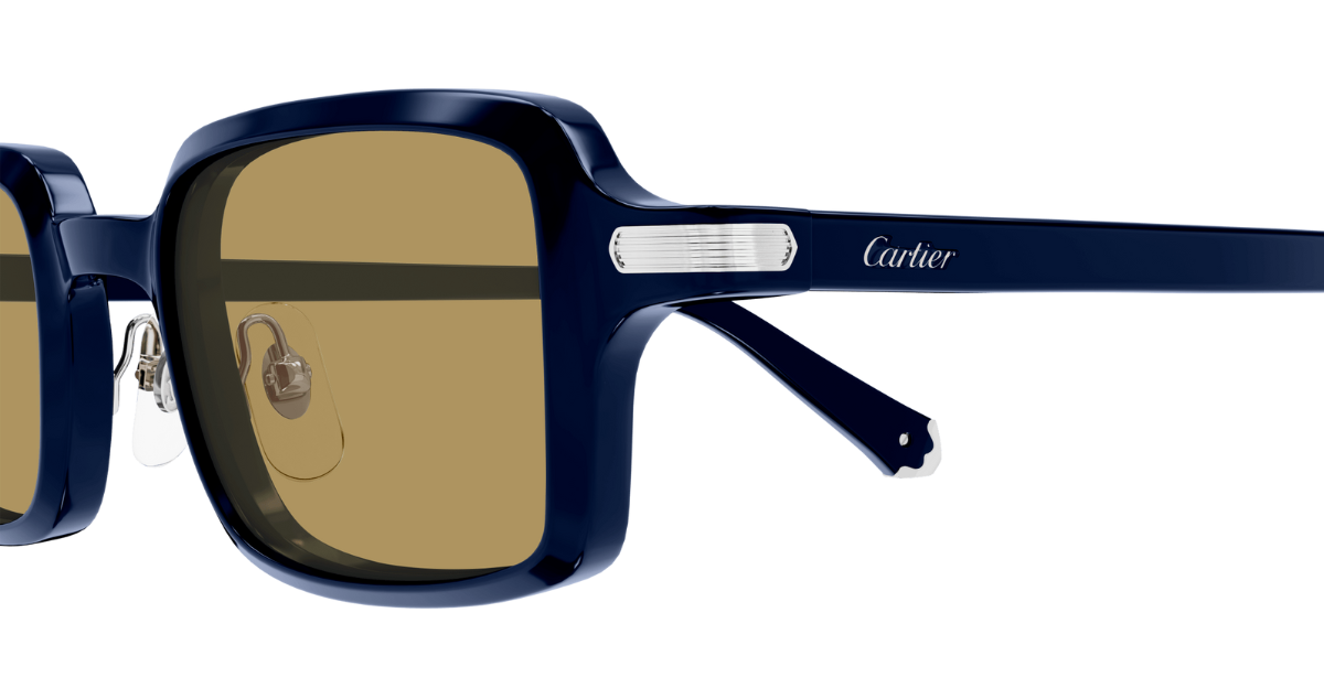 Cartier CT0539S | 004