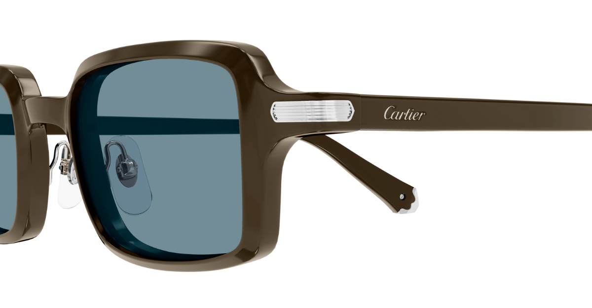 Cartier CT0539S | 005