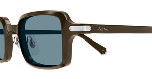 Cartier CT0539S | 005