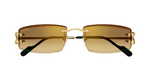 Cartier CT0465S | 004