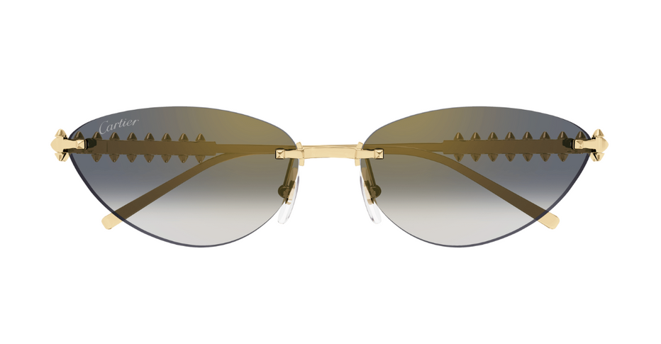Cartier CT0543S 001 – Leidmann
