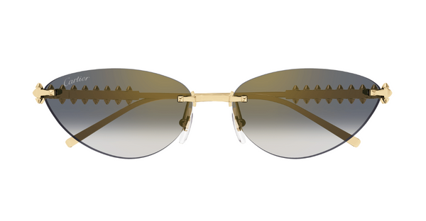 Cartier CT0543S 001 – Leidmann