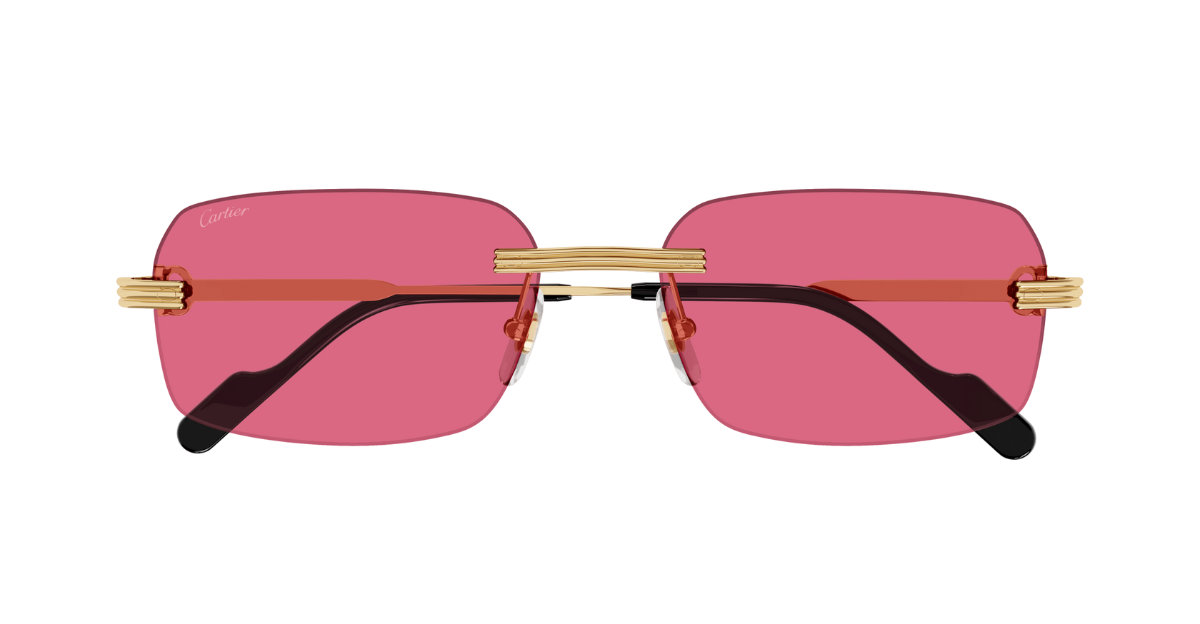 Cartier CT0271S | 010