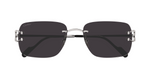 Cartier 0330S | 001