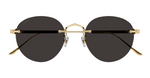 Cartier CT0393S | 002