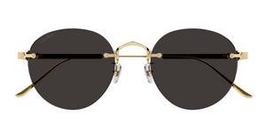 Cartier CT0393S | 002