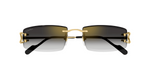 Cartier CT0465S | 001