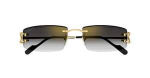 Cartier CT0465S | 001