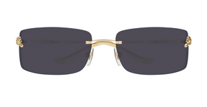 Cartier CT0503S | 001