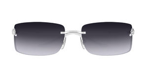 Cartier CT0503S | 002