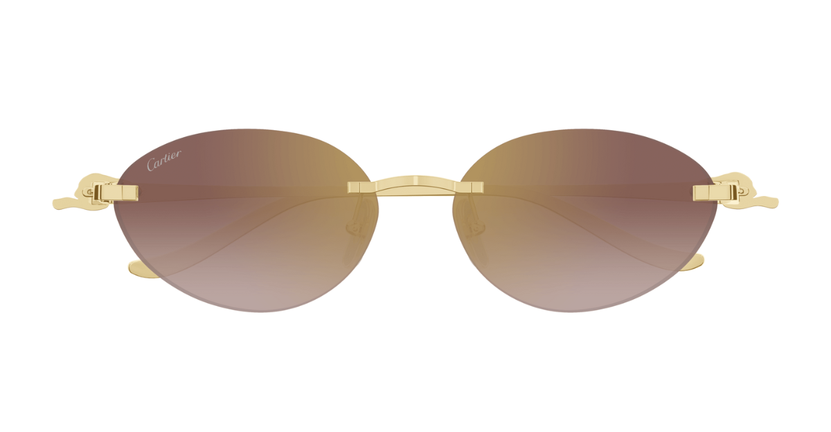 Cartier CT0504S | 002
