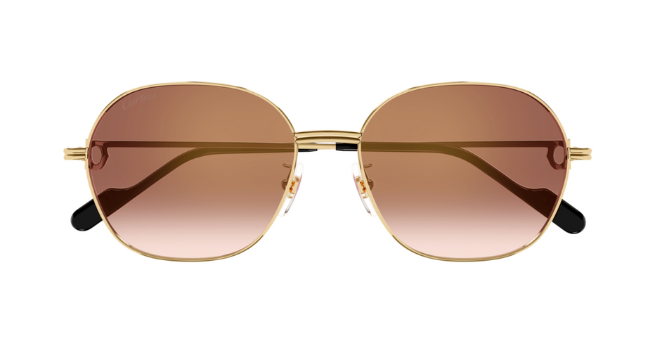 洋楽 DAIKITSUNETATHEFIRSTSUITE FOR CARTIER CARTIER SUNGLASSES