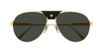 Cartier CT0387S | 001