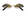 Cartier 0433s 001