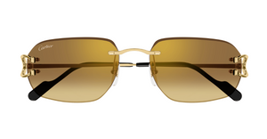 Cartier CT0468S | 004