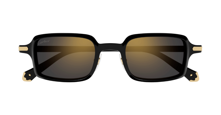 Cartier CT0539S 001 - Square luxury sunglasses with black frames