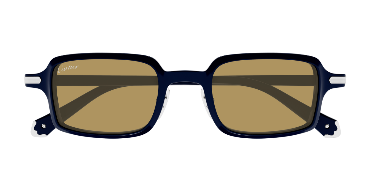 Cartier CT0539S | 004