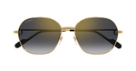 サングラス Cartier SS25 Cartier - CT0569SA - 001 (CT0569SA 001) Cartier CT0569SA | 001 – Leidmann