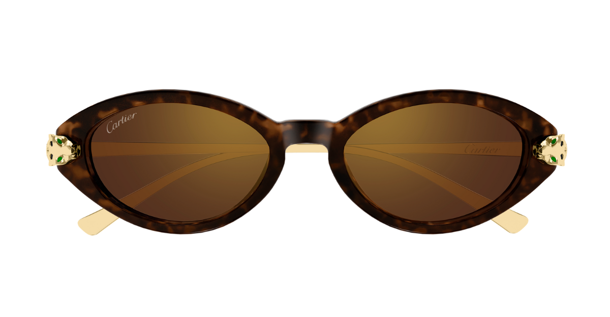 cartier ct0634s 002 ovale sonnenbrille in havana gold mit braunen gläsern